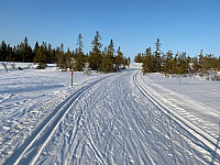 marithovi_20210418_607c150915757.jpg