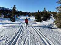 marithovi_20210423_608280fc0023c.jpg