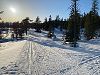 marithovi_20210423_608280fca52cb.jpg