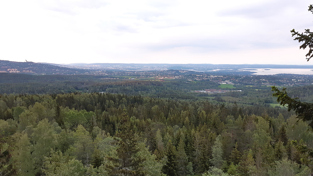 Utsikt fra Skuta (Skutehøgda) over deler av Oslo og Bærum. Helt til venstre sees profilen av Holmenkollen.