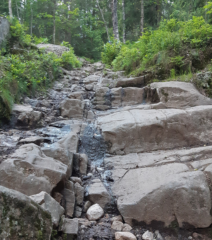 Naturens egne trappetrinn, langs skogsstien fra Løvenskioldbanen opp mot Skuta.