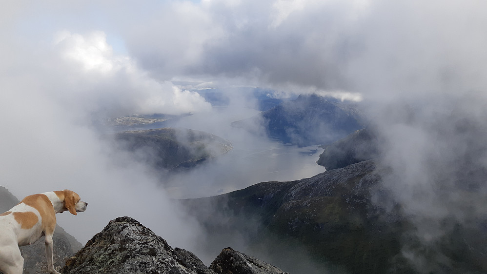 Utsikt innover i landet (østover) fra Eidetinden. Nærmeste fjord er Eidekjosen, som kommer inn fra fjorden Sørfolda. Toppen til høyre mellom fjordene er Skeistinden (972).