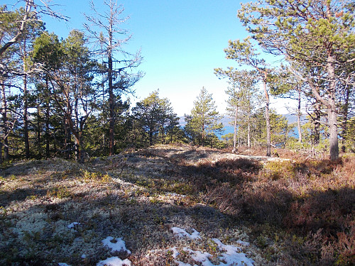 Toppen av Brattåsen i Frosta