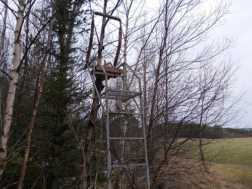 Enkel standard på dette elgtårnet