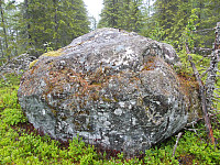 Stor stein med trigpunkt på Klauvsjøåsen