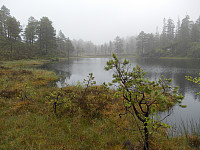 Svarttjønna like under Ståggååsen