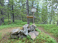 Våttåberget/Elnesberget/Tyveberget.
Mange navn på denne toppen