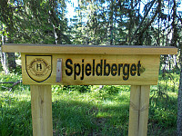 Klippetanga på Spjeldberget