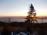 Fin utsikt mot Ytterøya