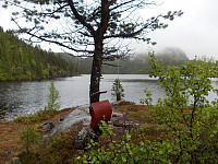 Naturperleposten ved Fiskløysa