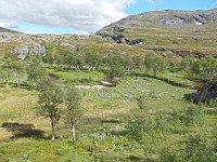 En tropisk oase like før oppstigningen til Blåberga