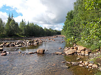 Elva Torsbjørka