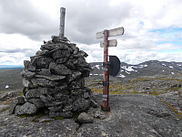 Skarvan i bakgrunnen