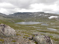 Rotåsjøen (1100) Skardsfjella bak