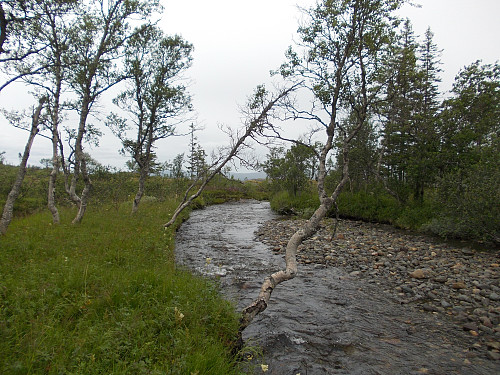 Kjølhaugåa