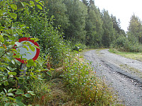Skogsbilveien fra Fv 17 til Fossmoen