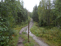 Traktorveien mellom Hauknes og Nåltjønnin