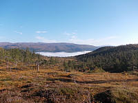 Gudå er innhyllet i tåke