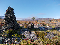 Stor varde med Gravøyfjellet bak
