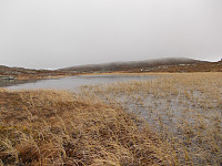 Mulvola nærmer seg