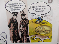 Fra infotavla ved Nedalshytta