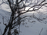 Fin vinter mot N Langsvola