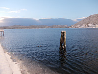 Sjøen ved Storsenteret i Namsos