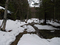 Vårskitur