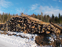 Tømmerdrift i Røysing