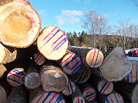 Fargerik tømmermerking på Kjørås