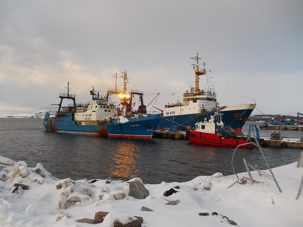 Fiskebåter i havna