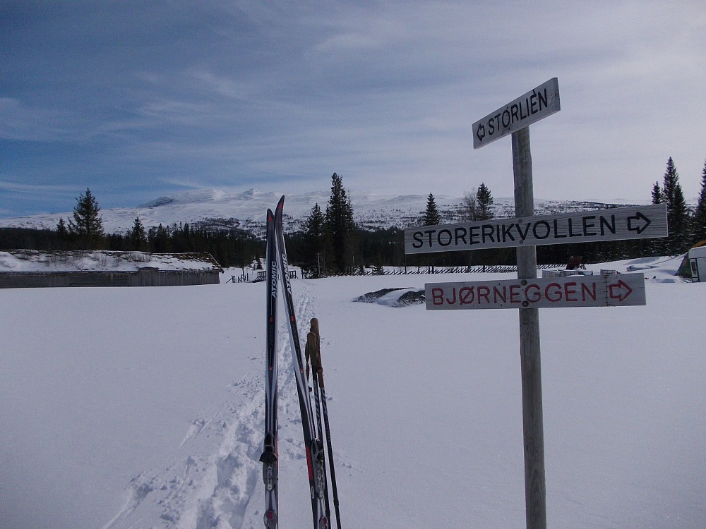 Fine forhold i Kluksdalen i dag.