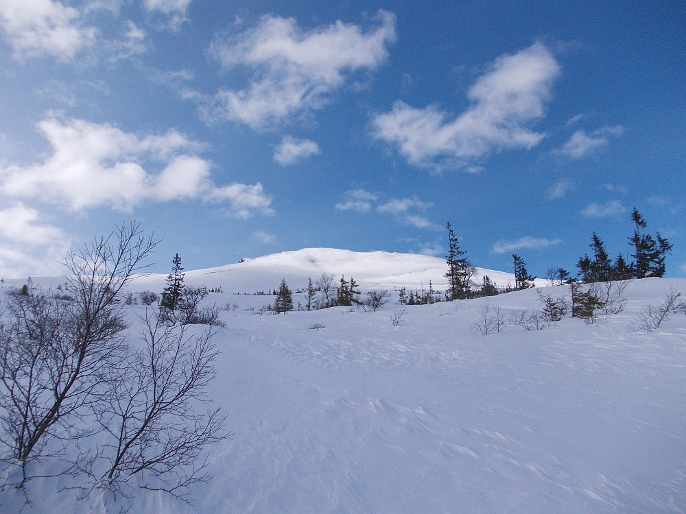 Pent vær over Mannfjellet
