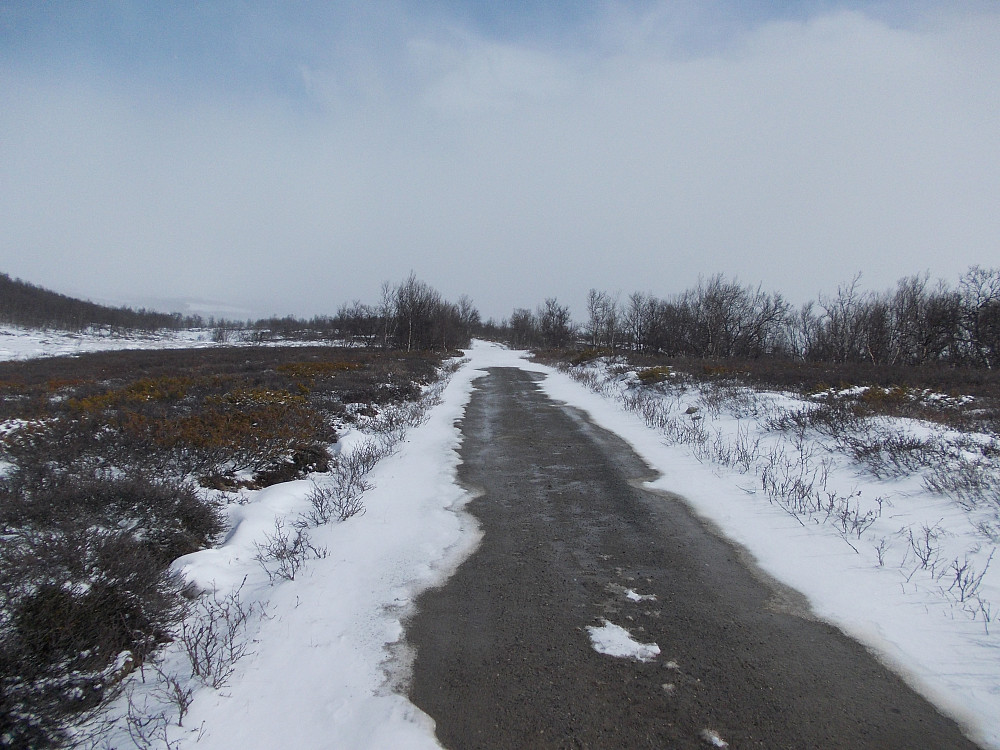 Forbausende lite snø på Dovrefjell