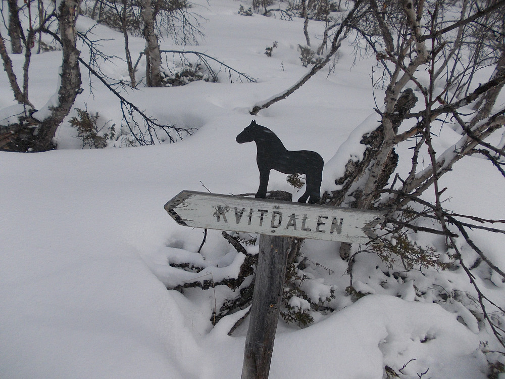 Kvitdalen