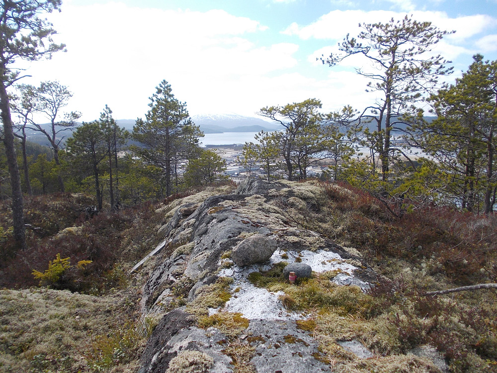 Trigpunktbolten på toppen . I bakgrunnen Hemnafjell