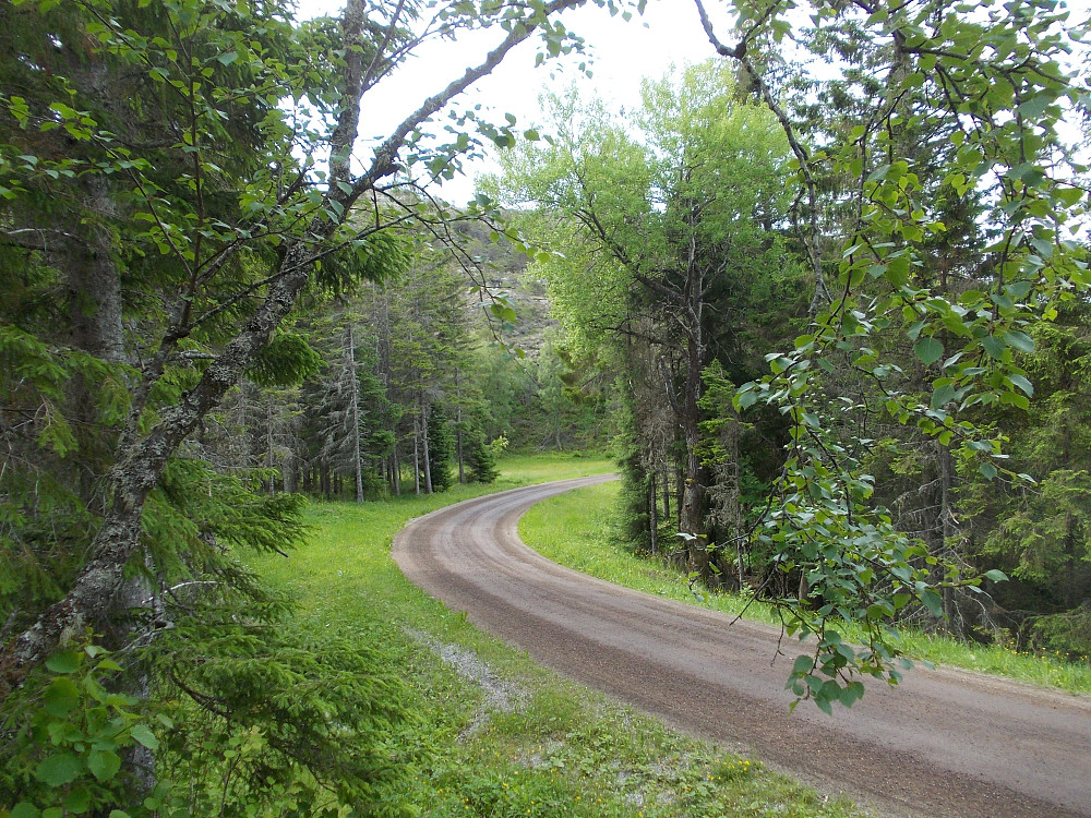 Veien fra Drag til Lysøya