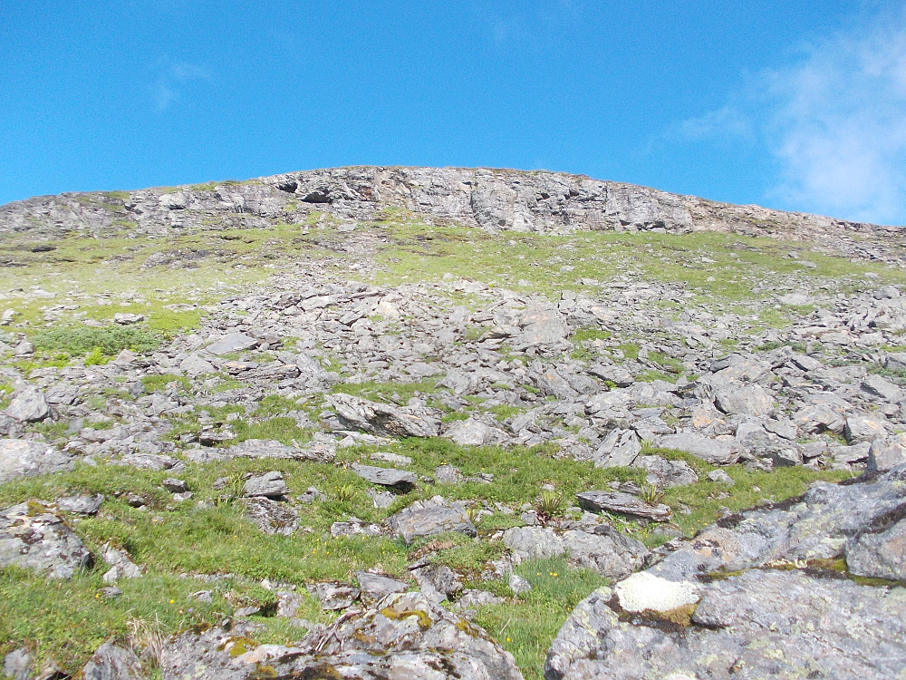 Litt stein og en bratt skrent på østsiden av Gardkleppen.