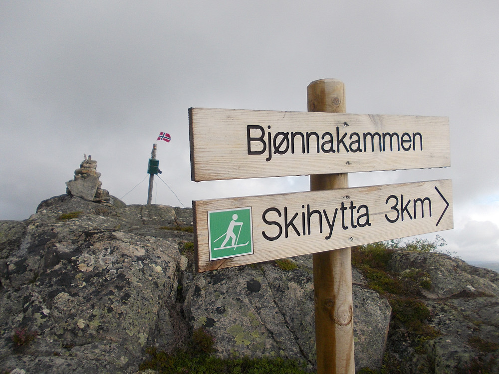 God skilting på toppen