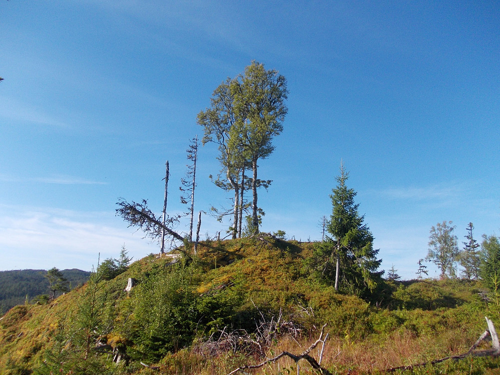 Toppen av Øyakammen på Storøya i Meltingen