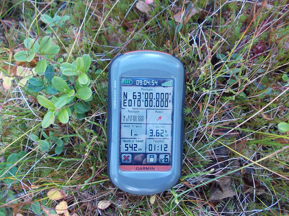 Gradkryss 63-10 med høstfarger.