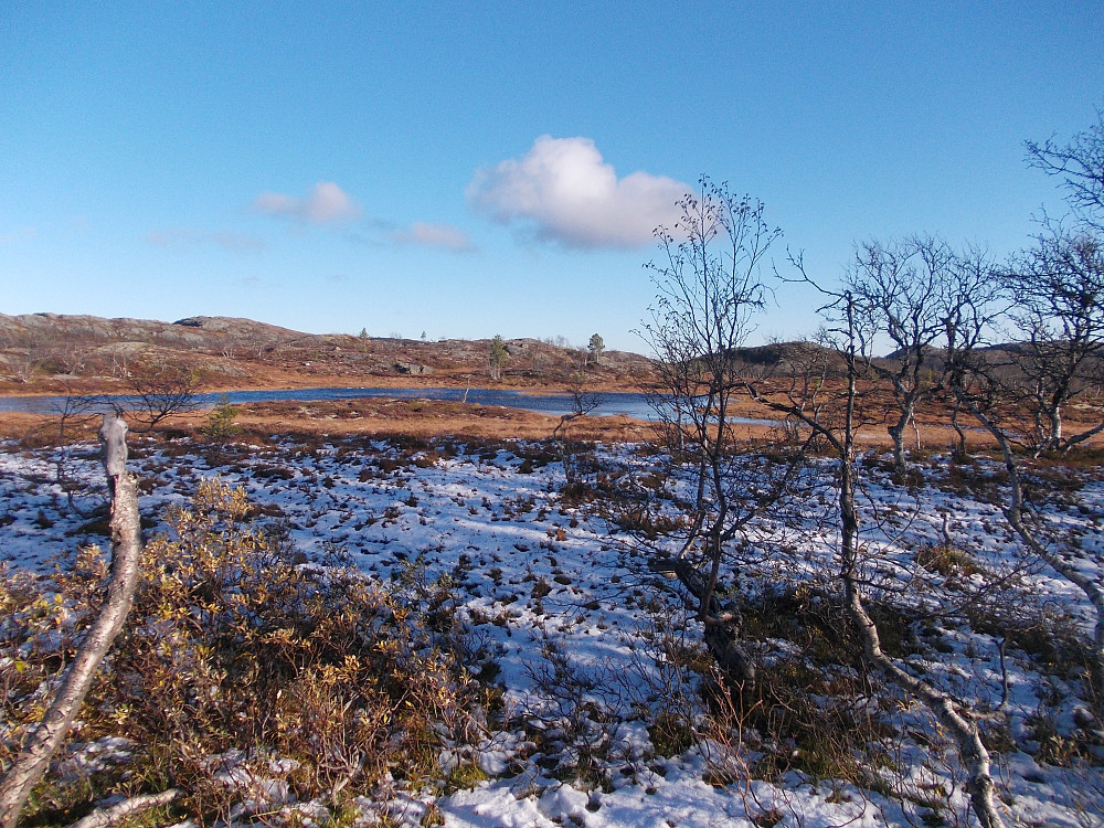 Litt nysnø ved Brekksætra