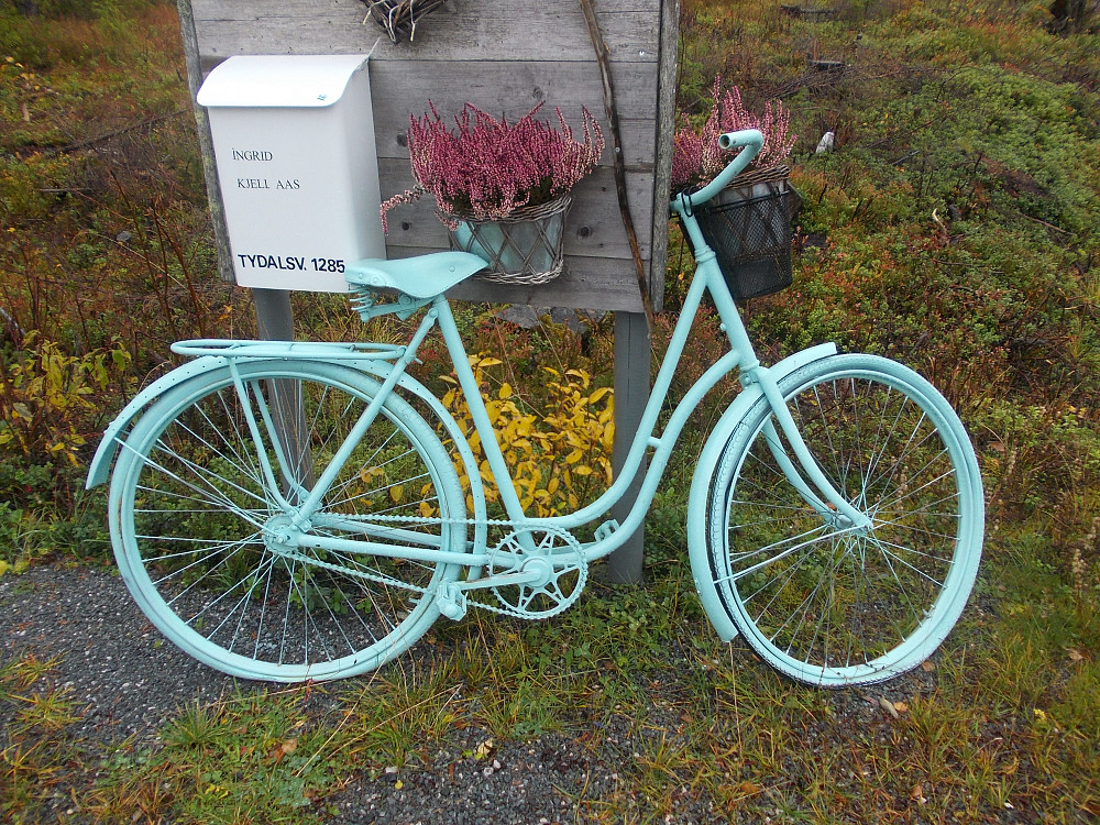 Fin grønn sykkel i Tydal