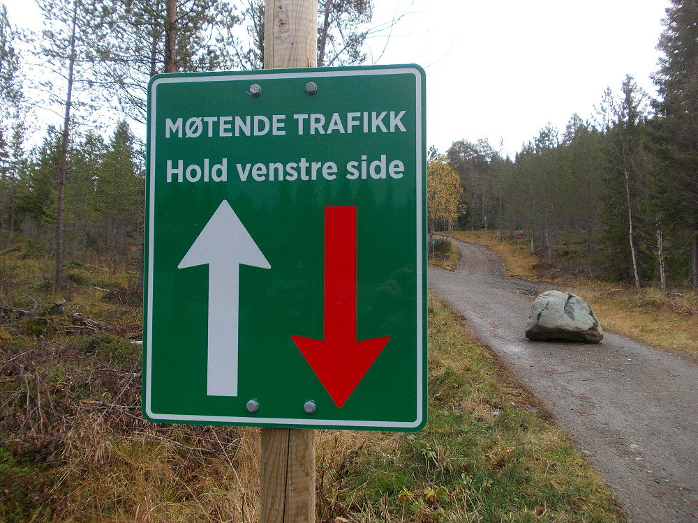 Her er det innført venstregåing