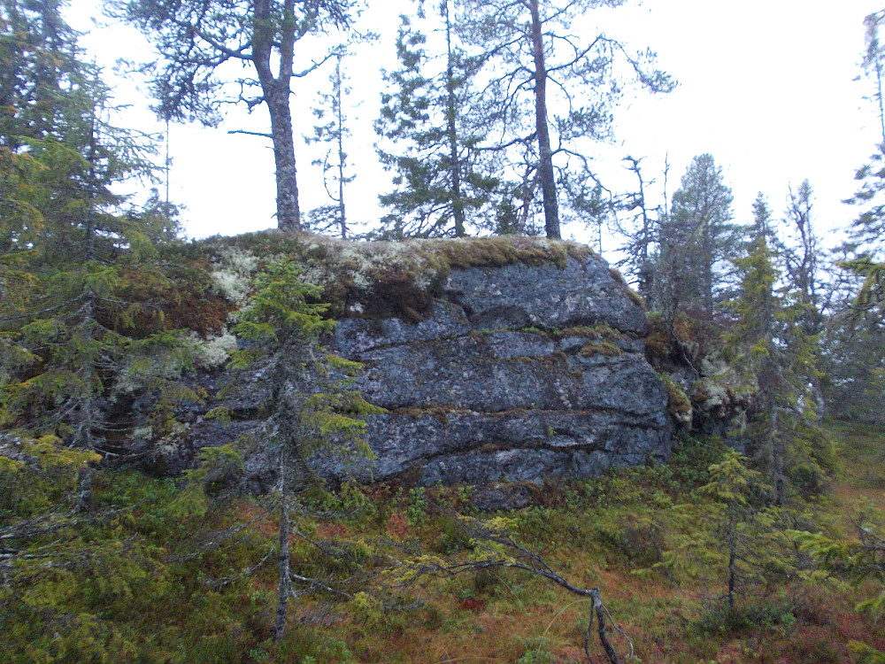 Toppen av Høgfjellet (Peakbooktopp)