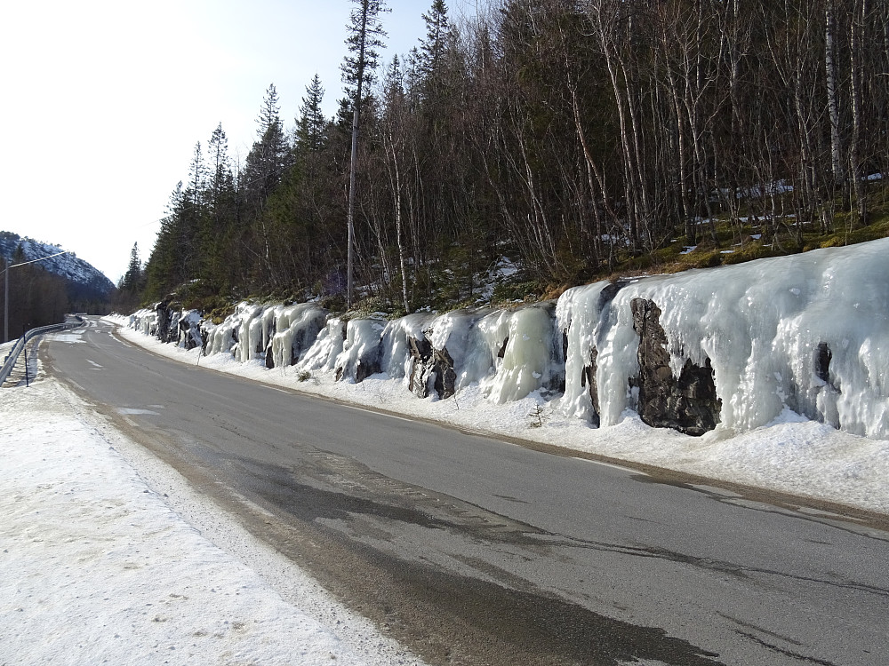 Mye is ved veien ved Løvollen