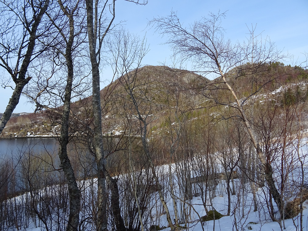 Løvollhatten sett fra Gravvikvågen og Trettvika
