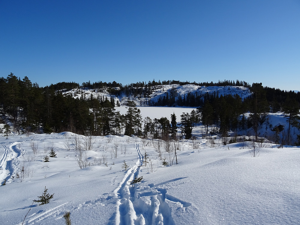 Svarttjønna