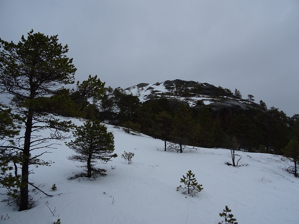 Nabotoppen (154 moh) til Ørnfjellet 