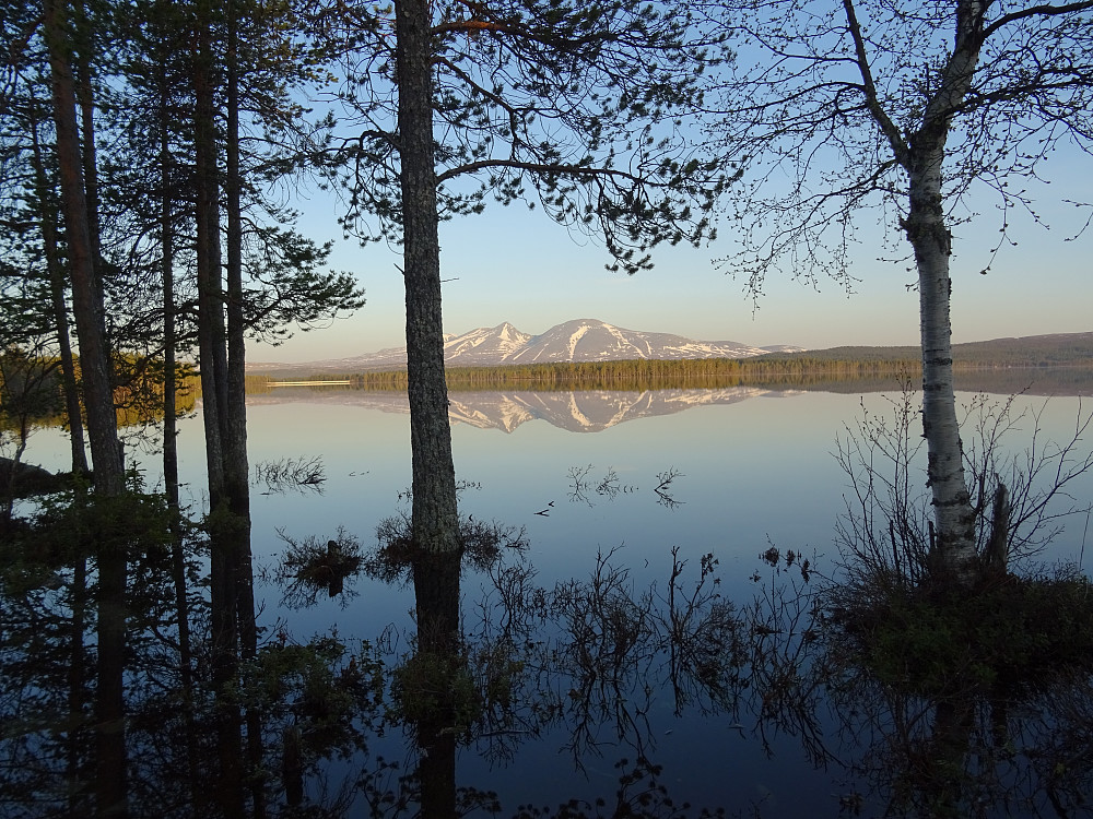 Femunden like før Sorken